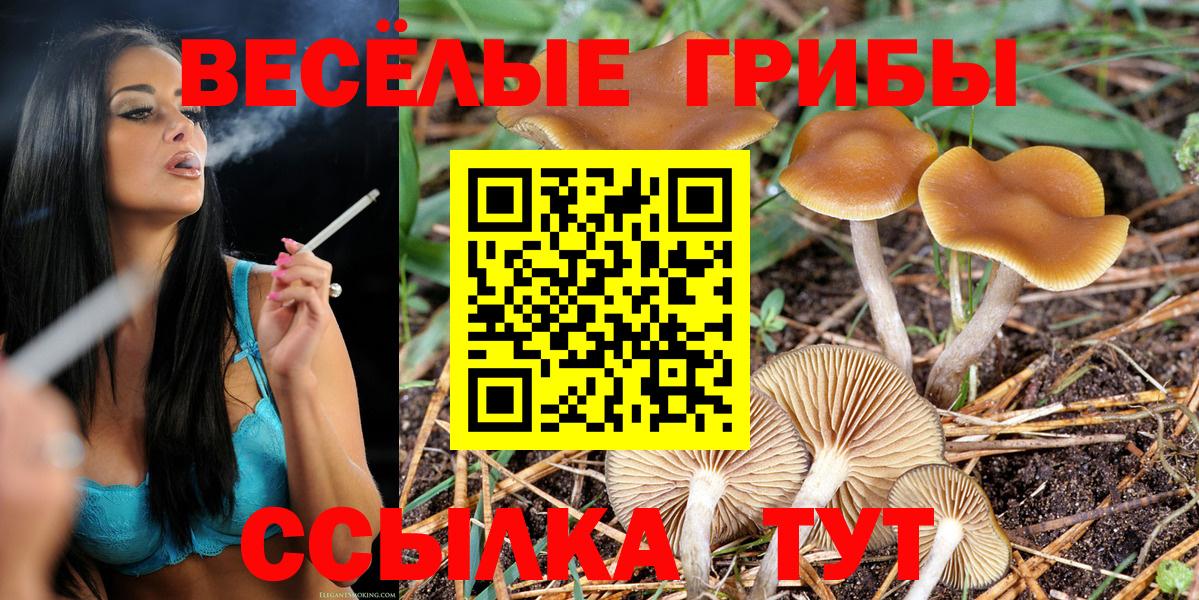Дивногорск  где найти   Вход с VPN  Галлюциногенные грибы MAGIC MUSHROOMS 