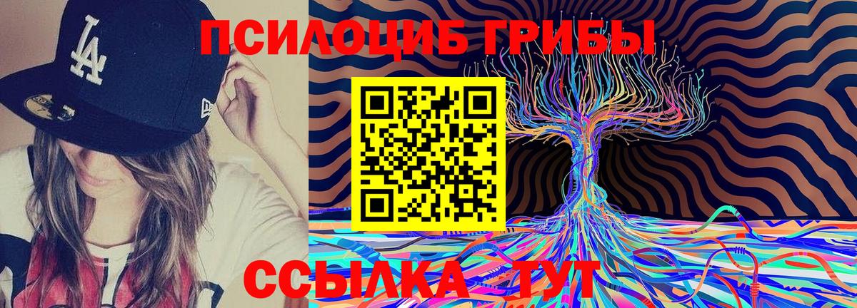 Галлюциногенные грибы Cubensis Дивногорск